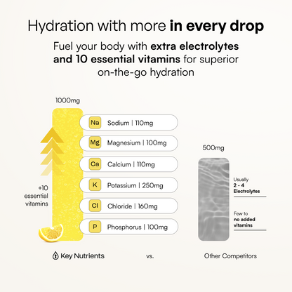Electrolyte Recovery Plus Powder (Sugar-Free) Key Nutrients