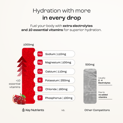 Electrolyte Recovery Plus Powder (Sugar-Free) Key Nutrients