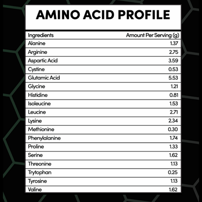 Chocolate Plant Protein