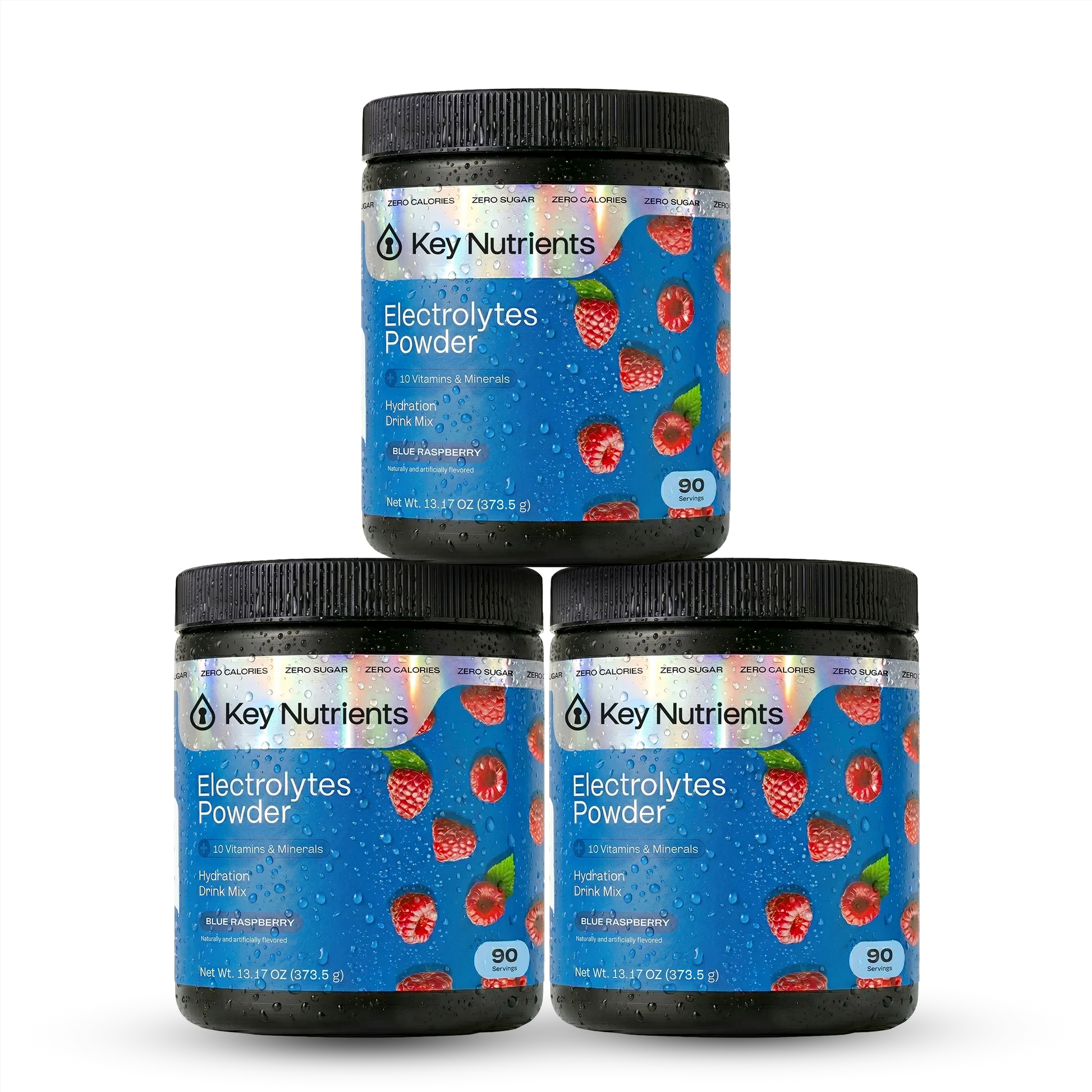 Electrolyte Recovery Plus Powder (Sugar-Free) Key Nutrients