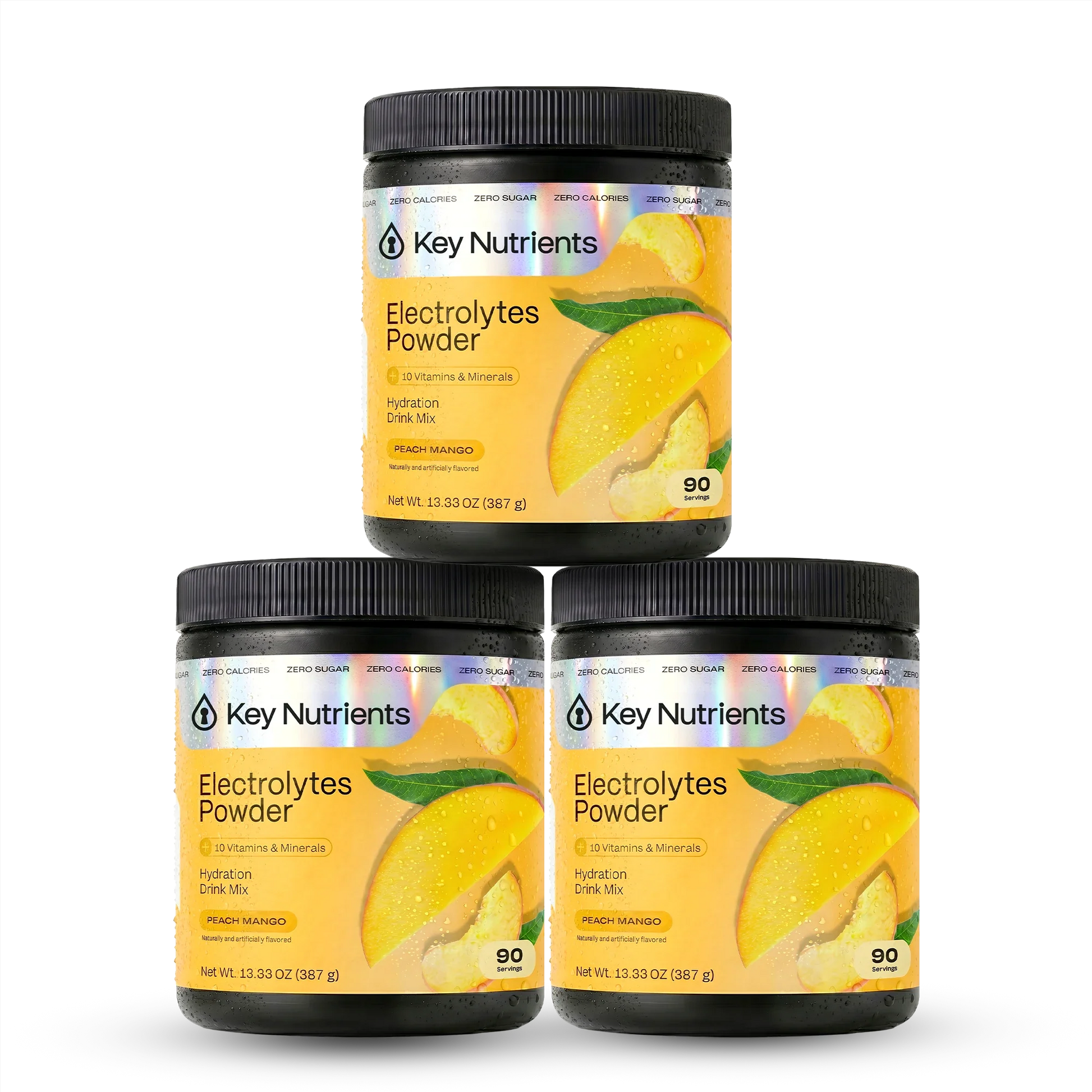 Electrolyte Recovery Plus Powder (Sugar-Free) Key Nutrients