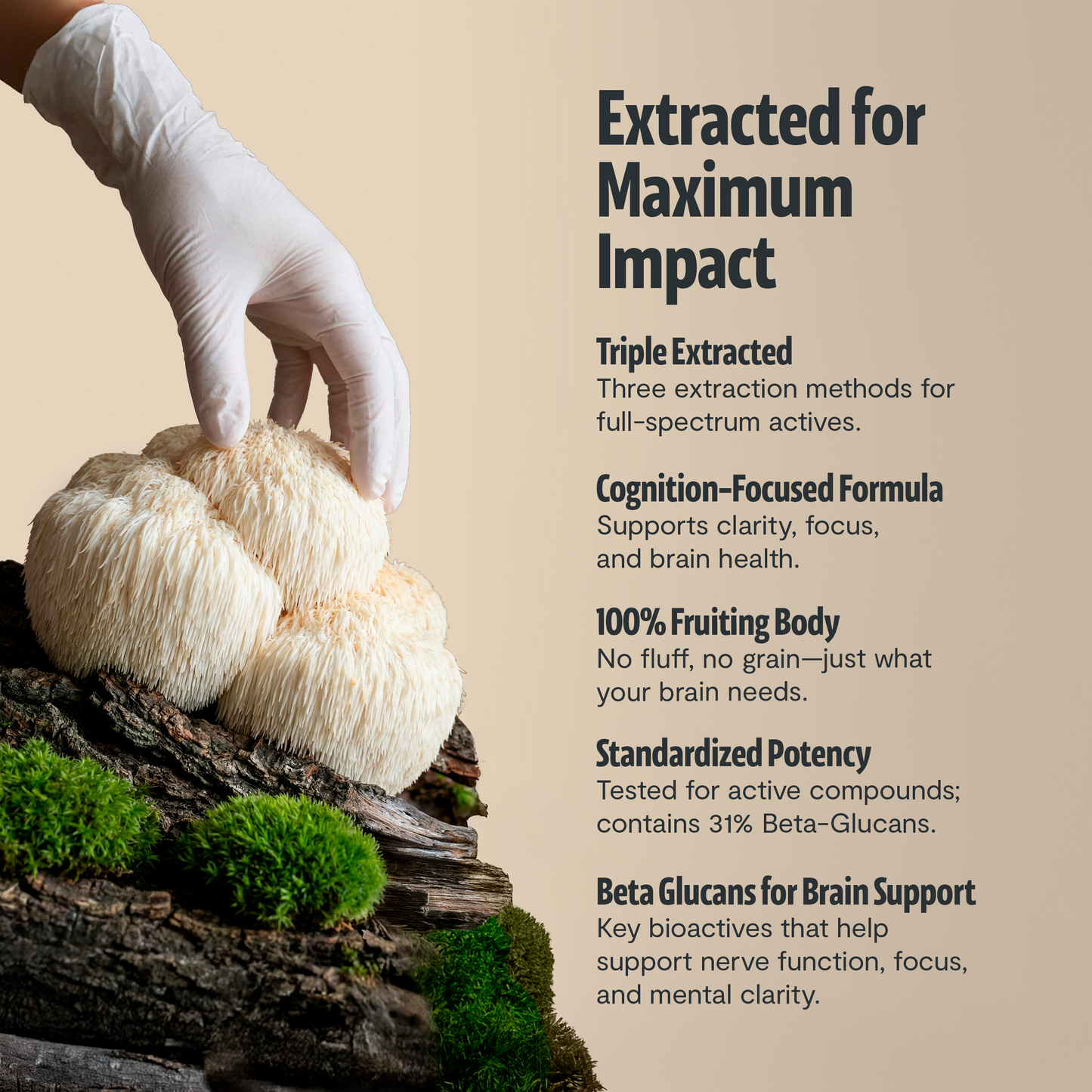 Organic Mushroom Complex Supplement Capsules FreshCap Mushrooms