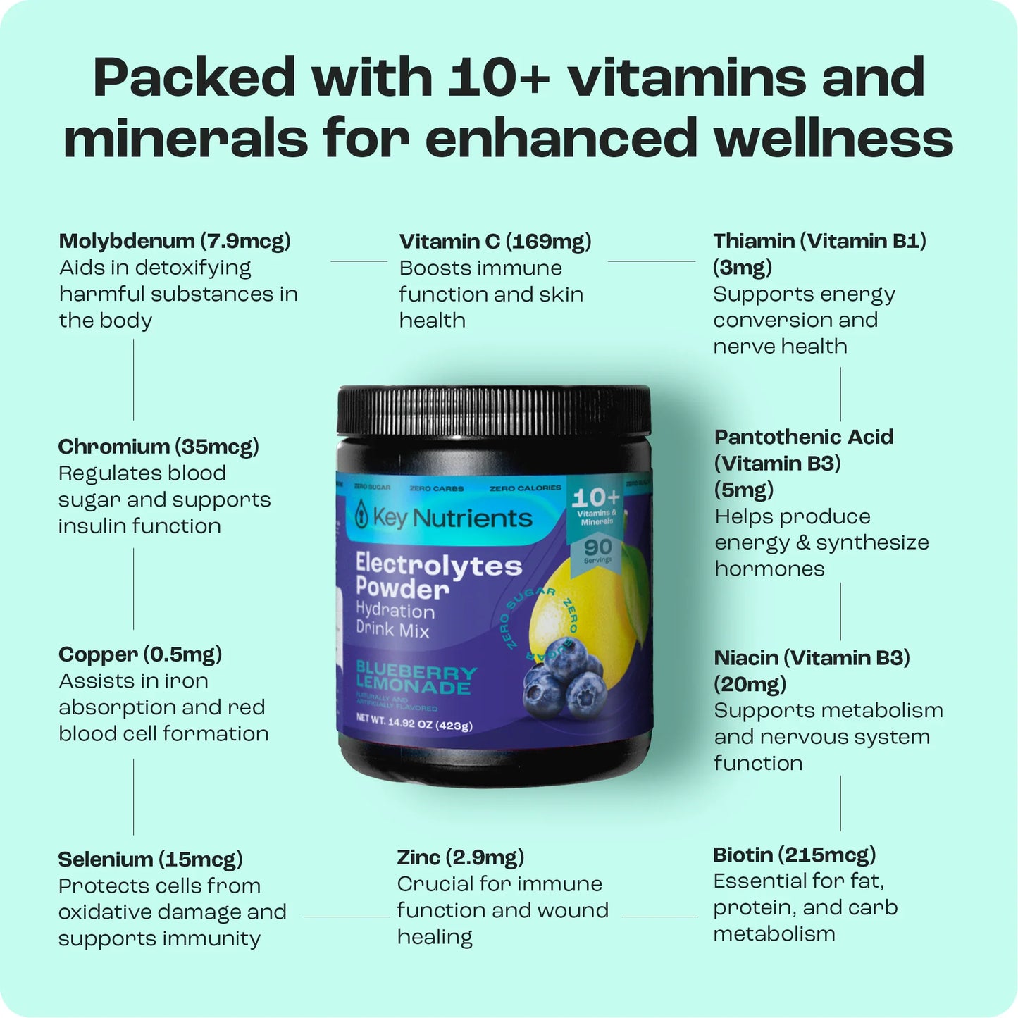 Electrolyte Recovery Plus Powder (Sugar-Free) Key Nutrients