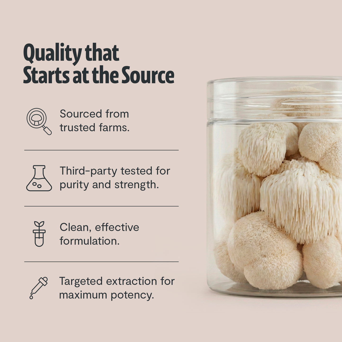 Organic Mushroom Complex Supplement Capsules FreshCap Mushrooms